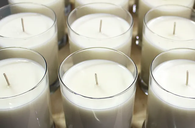 HEARTH AND HOME 100% SOY CANDLE